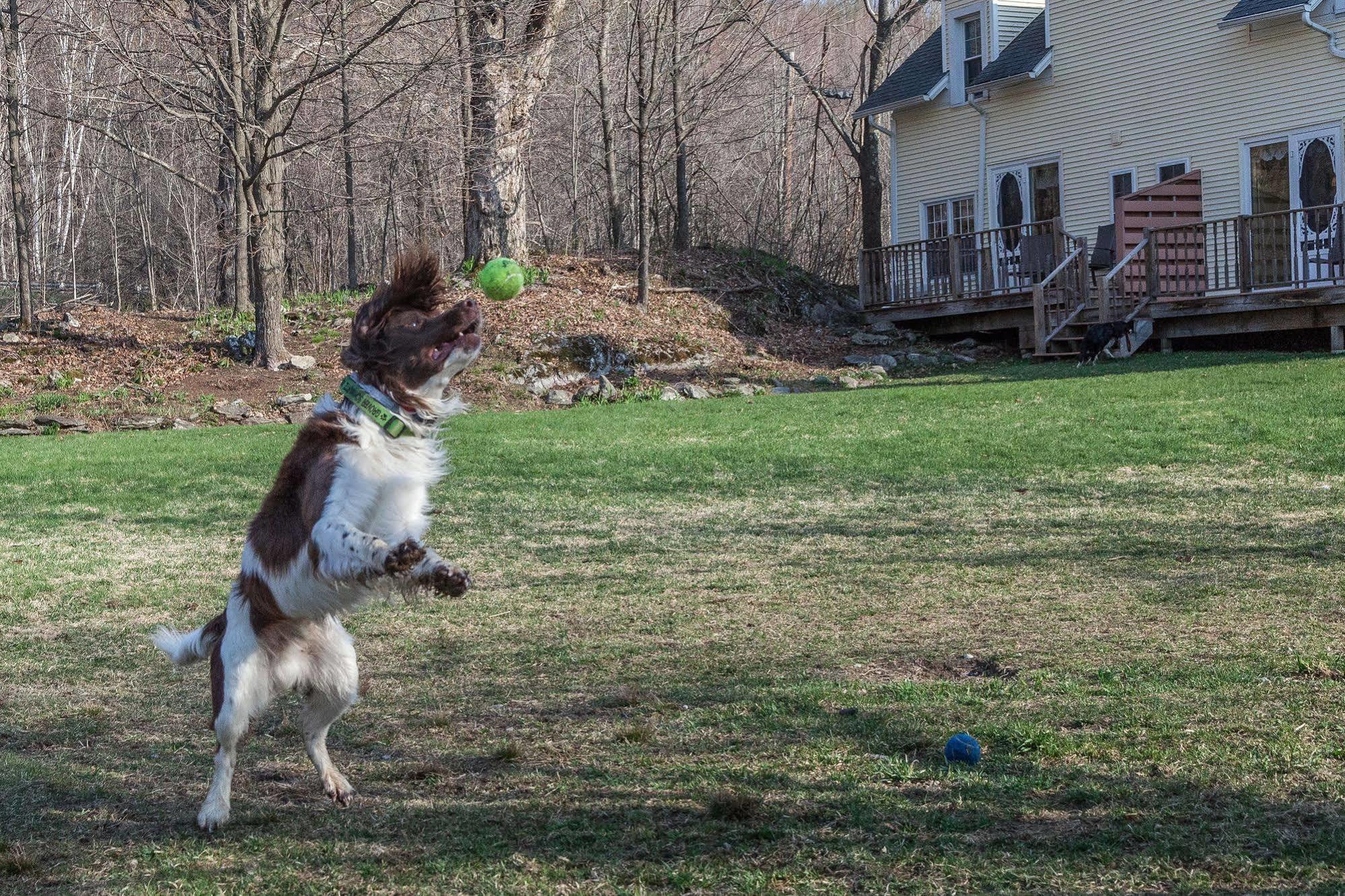 Inn At Buck Hollow Farm Fairfax Luaran gambar